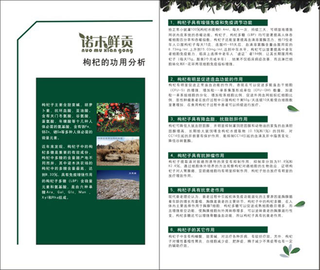 &#107;&#97;&#105;&#121;&#117;&#110;&#24320;&#20113;&#23448;&#26041;&#32593;&#39029;&#29256;&#45;&#107;&#97;&#105;&#121;&#117;&#110;&#24320;&#20113;&#40;&#20013;&#22269;&#41;
